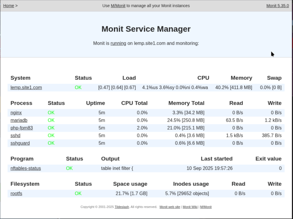 Lightweight Server Monitoring and Alerting: Monit Service Manager