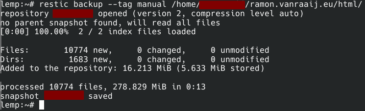 Restic Manual Directory Backup