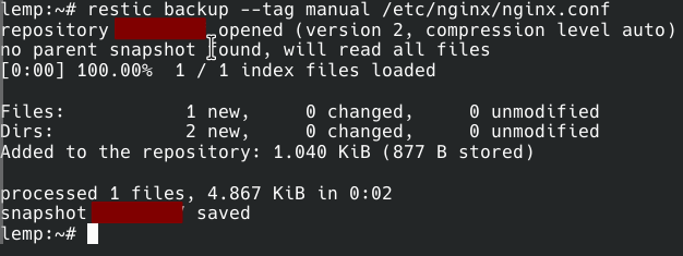 Restic Manual File Backup
